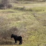 La Sabbia בית נופש