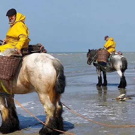 Tatil Evi La Sabbia *