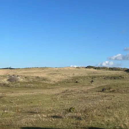 Casa vacanze La Sabbia Oostduinkerke