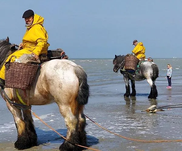 Feriehus La Sabbia *