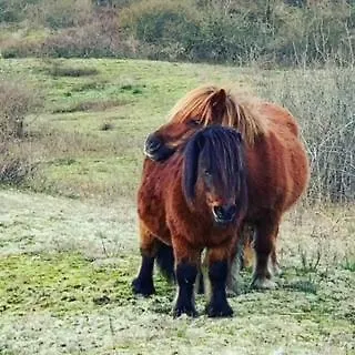 La Sabbia Feriehus Oostduinkerke
