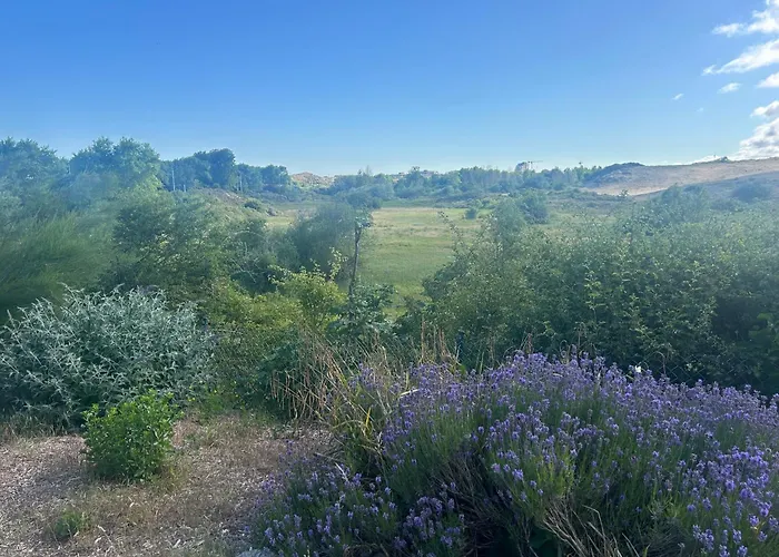 La Sabbia Oostduinkerke